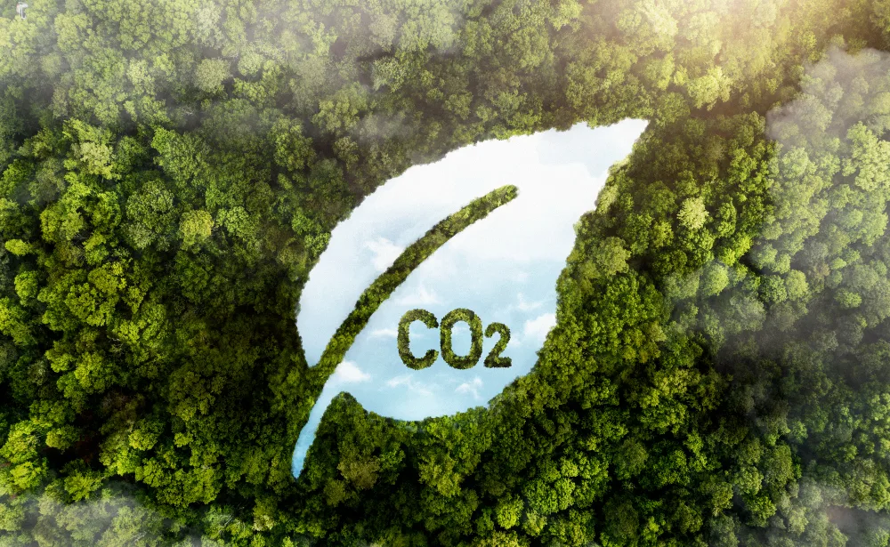 carbon footprint reductions